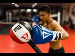 Title Deluxe King Cobra Reflex Bag Title Unleashes The Hottest And Most Technologically Innovative Reflex Punching Bag Combat Sport Punching Bag Ball Exercises