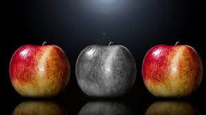 Stimulus And Response Generalization An Introduction And Training Tips Behavioral Science In The 21st Century