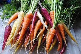 Image result for carrot variety