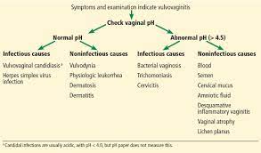 Vulvovaginitis Find The Cause To Treat It Cleveland Clinic Journal Of Medicine