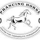 Prancing Horse: Lesson Volunteer Training event image