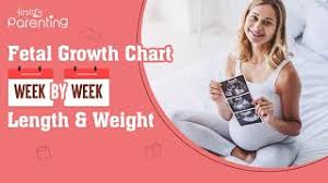 Eye color depends on the amount of the pigment melanin that's present. Foetal Growth Chart Week By Week Length Weight