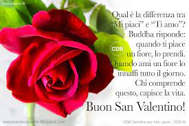 Cartolina Buon San Valentino Qual E La Differenza Tra Mi Piaci E Ti Amo Buddha Risponde 14 Febbraio 2020 Con Im San Valentino Cartoline Rosa Rossa