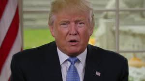 Friedman: Trump offers 'wall' against accelerating world