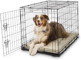 We looked at features such as the method of heat generation, whether the pad is. Amazon Com Petco Classic 1 Door Dog Crate 36 L X 23 W X 25 H Pet Kennels Pet Supplies