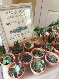 Baby Shower Succulent Favors Baby Shower Inspiration Baby Shower Woodland Theme Baby Shower Woodland