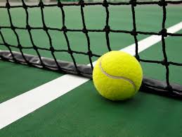 Tca is a premier tennisball cricket league in the san francisco bay area. Tennisball In Den Trockner Geben Wann Macht Man Das