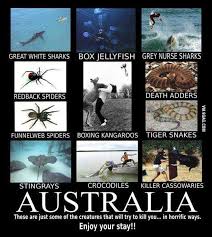 Welcome To Aussie Mate Enjoy Your Stay Australia Funny Australia Meme Aussie Memes