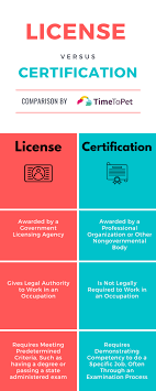 Understanding Pet Sitting Certifications | Time To Pet
