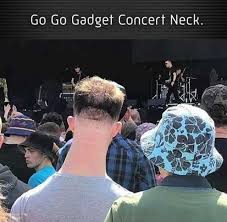 Accessoires et alimentation pour animaux, blog animaux Spotted Adam Ondra At A Concert Climbingcirclejerk