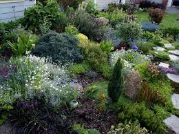 Un jardin de rocaille est composé de fleurs installées entre des rochers. Idees Pour Utiliser Les Coniferes Decoratifs