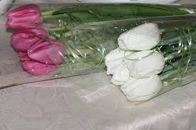 Fresh cut flowers wholesale near me. Beautiful Multicolored Flower Bouquets Various Fresh Tulips At Flower Shop Wholesale Or Retail Flower Store Florist Agency Stock Photo Image Of Basket Celebration 140511612