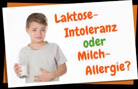 Laktoseintoleranz Milch Allergie Allergie Lern Land