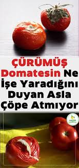 Peynir mayası neden ve nasıl yapılır? Ev Islerinde Bizi Ugrastiran Ve Saatlerimiz Mal Olan Can Sikici Isler Bu Yontemler Ile Oldukca Kolaylasiyor Iste O Zeki Saglikli Saglikli Yasam Dogal Saglik