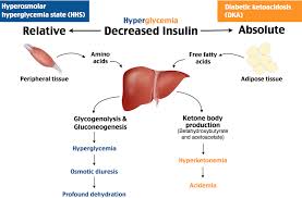 hyperosmolar hyperglycemia state hhs vs diabetic