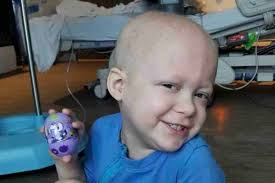 Fundraiser for David Boardwyne by Jamie Thompson : Samson's Leukemia Is  Back.