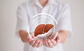The Complete Guide to Liver Health | Mega We Care