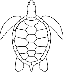 Check out our turtle coloring page selection for the very best in unique or custom, handmade pieces from our digital shops. Awesome Sea Animals Turtle Coloring Page Turtle Coloring Pages Turtle Outline Turtle Drawing