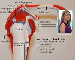 Inflammation develops in the shoulder that causes pain and stiffness. Shoulder Pain Chiropractors In Newmarket On
