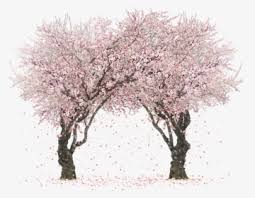 I shall grind beneath my heel all that exists. Cherry Blossom Tree Png Images Free Transparent Cherry Blossom Tree Download Kindpng