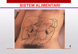 Image result for Succussion Splash