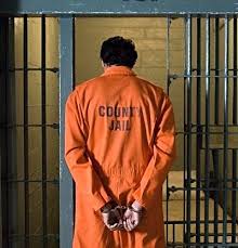 Yahoo - login | Master of science, Criminal justice, Criminology