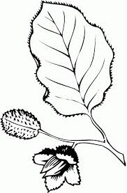 Maybe you would like to learn more about one of these? Coloring Page Leaf Coloring Pages 29