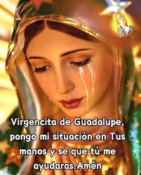 💐 *Viva la Santísima Virgen de Guadalupe *💐 Virgen Santísima de  Guadalupe, Madre de Dios, Señora y Madre nuestra. Aún siguen resonando las  palabras que dijiste a Juan Diego con inefable ternura: "