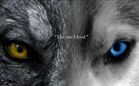 Pin By Amen Young On Quotes Wolf Eyes Wolf Quotes Two Wolves