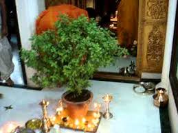 tulasi pooja youtube tulasi pooja youtube