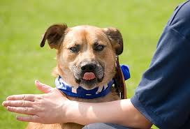 Darren Fleming photography