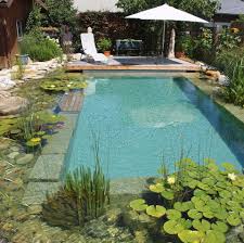 P4n Schwimmteich In 2020 Schwimmteich Gartenpools Naturschwimmbader