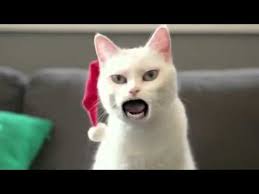 Three Little Kittens And Many More Kitten Cat Songs Popular Nursery Rhymes Collection Chuchu Tv Youtube