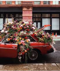 K A T I E Kathryynnicole Planting Flowers Floral Flowers