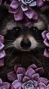 Pin By Burcu Bozkurt On Oboi Dlya Android Animals Artwork Animal Wallpaper Animal Posters