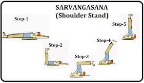 Pranayama is also known as breathing exercises. à¤‰à¤¦ à¤— à¤¤ à¤ª à¤° à¤£ à¤¯ à¤® Udgeeth Pranayama Steps Benefits Precautions