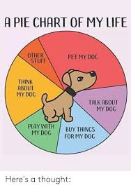 A Pie Chart Of My Life Other Stuff Pet My Dog Think About My