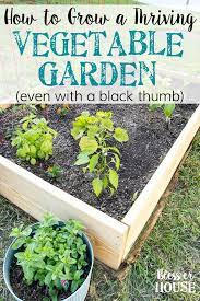 How To Plant A Thriving Vegetable Garden Vegetable Garden Organic Gardening Gardening Tips