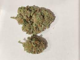 Top 10 Local Cannabis Strains Of 2018 Postindependent Com