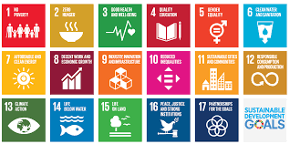 It is an initiative to give platform to children across the globe to connect, create and collaborate. Resources Sdgs 2020 Igem Org