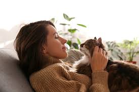 What Counselling Therapists Should Know About Emotional Support Animals