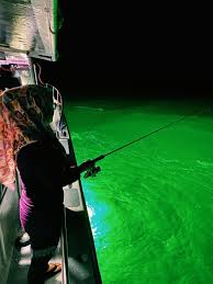 Jenis jenis candat sotong umpan. Teringin Nak Candat Sotong Jom Terjah Port Happening Ni Kat Laut Rompin Tioman Pahang Rileklah Com