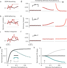 To this end a perceptual discrimination training task was created with a goal of decreasing fear overgeneralization. Flexible Categorization In Perceptual Decision Making Nature Communications