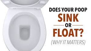 poop sink or float & why it matters