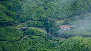 The Amazing World Munnar The Kashmir Of South India Kerala India the kashmir of south india kerala india