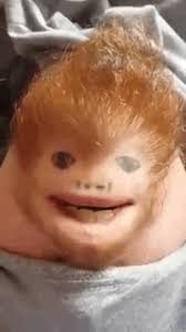 Ed sheeran wrote a song called 'little things' when he was 15 and gave it to one direction to produce as a single. Things That Look Like Ed Sheeran Ed Sheeran Kittens On Beano Com