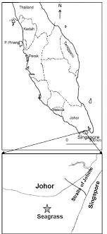 Hal ini terjadi akibat jarak ke bulan/matahari tidak sama pada bagian bumi yang berbeda. Geographical Location Of The Sampling Station In Sungai Pulai Seagrass Download Scientific Diagram