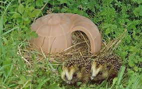 Igel Schnecke Ganzjahres Quartier Fur Die Igel Familie Denk Keramik Igel Schnecken Igelhaus