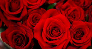 Suggestions for sending valentines day gifts to ireland. Valentine S Day Rampant Consumerism Since 1869