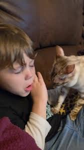 Precious moments. The cat originally went to my son while he was screaming  and crying but kept coming back. Her nick name is "fat cat" because she  eats like one, and yesterday she left her food dish ...